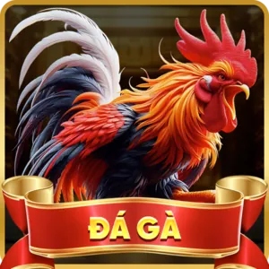 Người chơi hài lòng